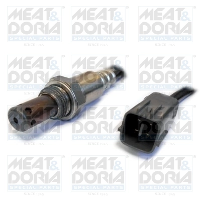 Oxygen Sensor
